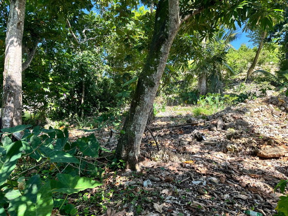 Tenth image of 15- Seaview Heights in Ocho Rios, St. Ann, Jamaica - property is For Sale