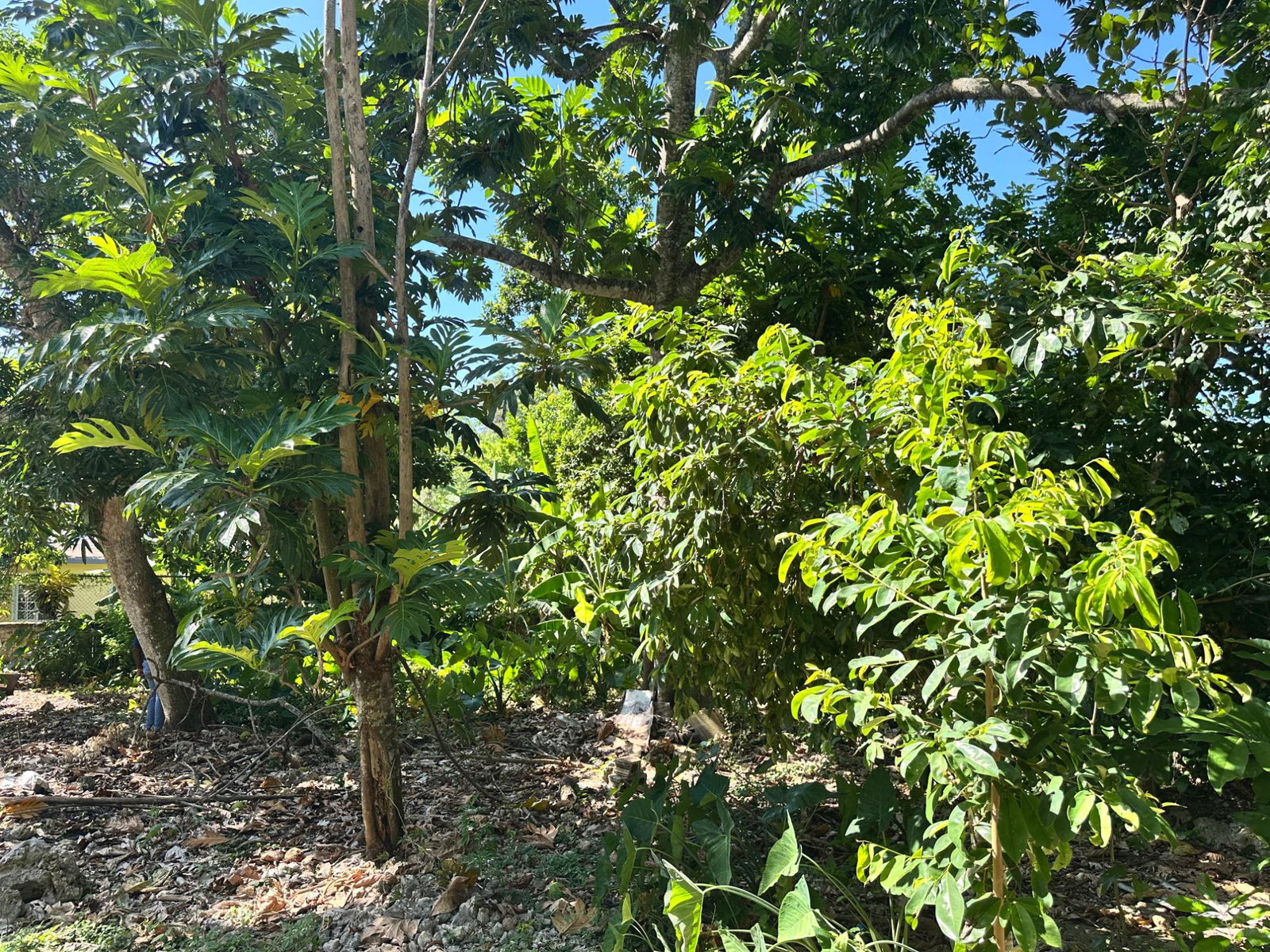 Twelfth image of 15- Seaview Heights in Ocho Rios, St. Ann, Jamaica - property is For Sale