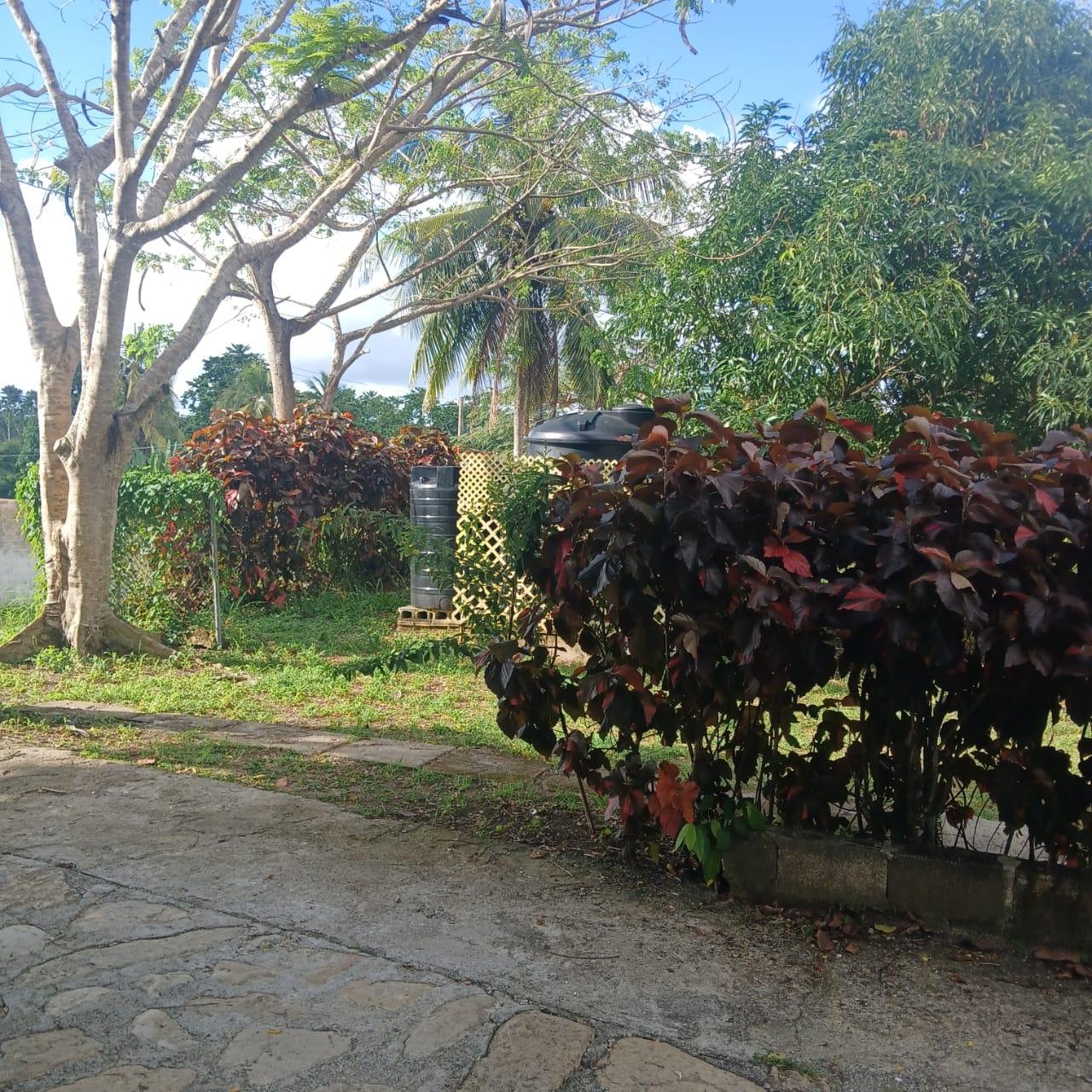 Second image of 5-172 &173 Whitehall District st Mar in Whitehall, St. Mary, Jamaica - property is For Sale