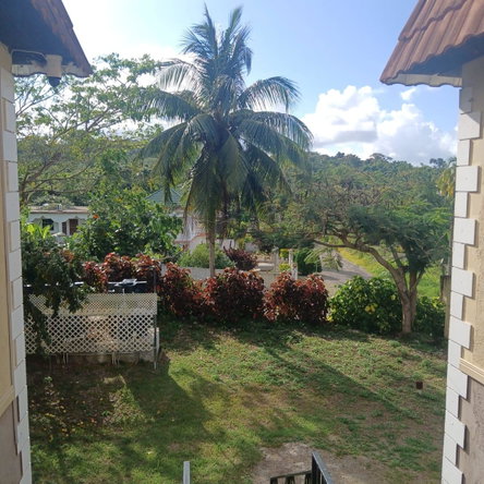 Third image of 5-172 &173 Whitehall District st Mar in Whitehall, St. Mary, Jamaica - property is For Sale