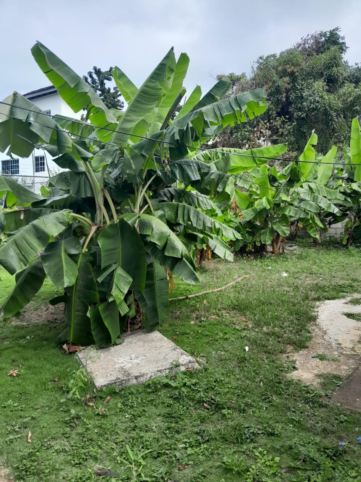 Twenty-Ninth image of 26 Melrose Terrace in Ironshore, St. James, Jamaica - property is For Sale