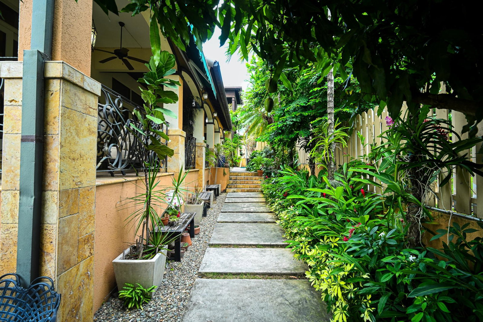 Twenty-Fifth image of 1-16 Melwood Avenue in Kingston 8, St. Andrew, Jamaica - property is For Sale