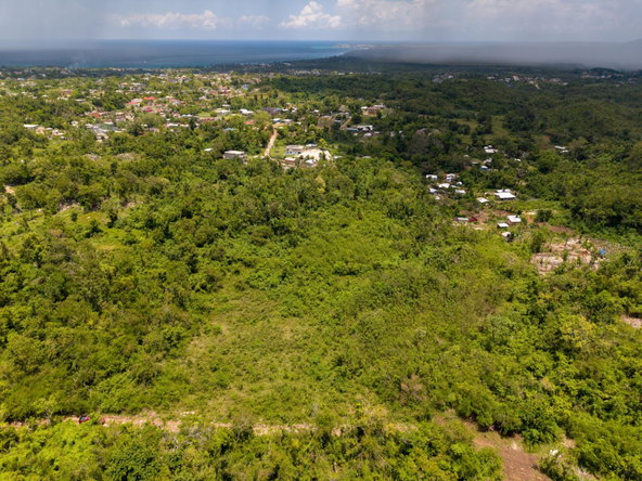 Third image of Duck Pond, Good Hope in Good Hope, Westmoreland, Jamaica - property is For Sale