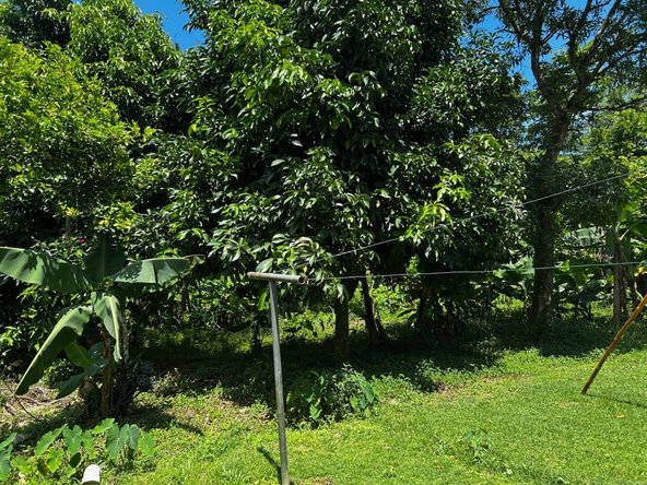 Eighteenth image of Wallens, Linstead in Linstead, St. Catherine, Jamaica - property is For Sale