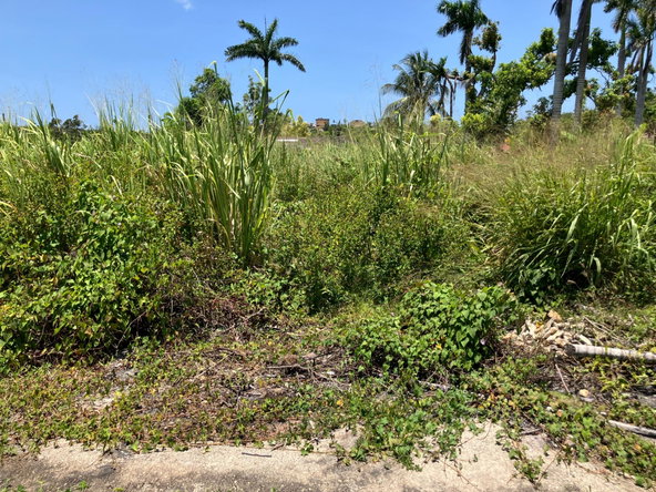 Second image of Lot 2 Beach Road Coral Spring t in Coral Spring, Trelawny, Jamaica - property is For Sale