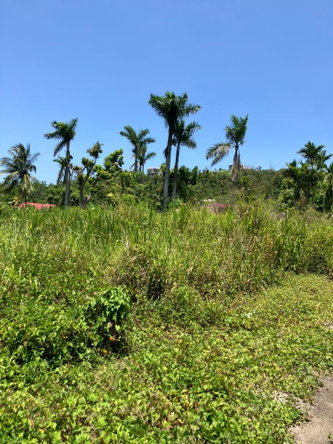 Sixth image of Lot 2 Beach Road Coral Spring t in Coral Spring, Trelawny, Jamaica - property is For Sale