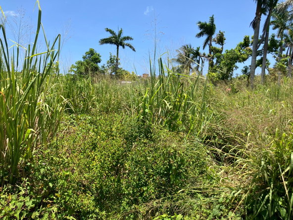 Seventh image of Lot 2 Beach Road Coral Spring t in Coral Spring, Trelawny, Jamaica - property is For Sale