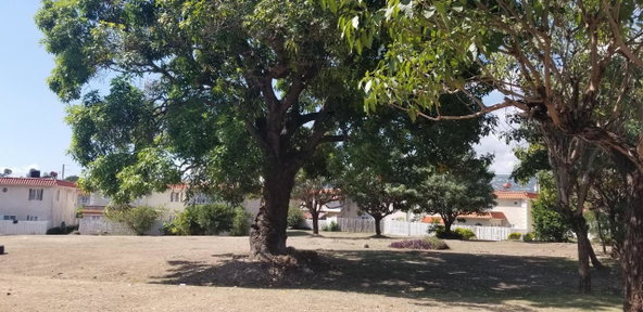 Eighteenth image of 606- 114-116 Constant Spring r in Kingston 8, St. Andrew, Jamaica - property is For Rent