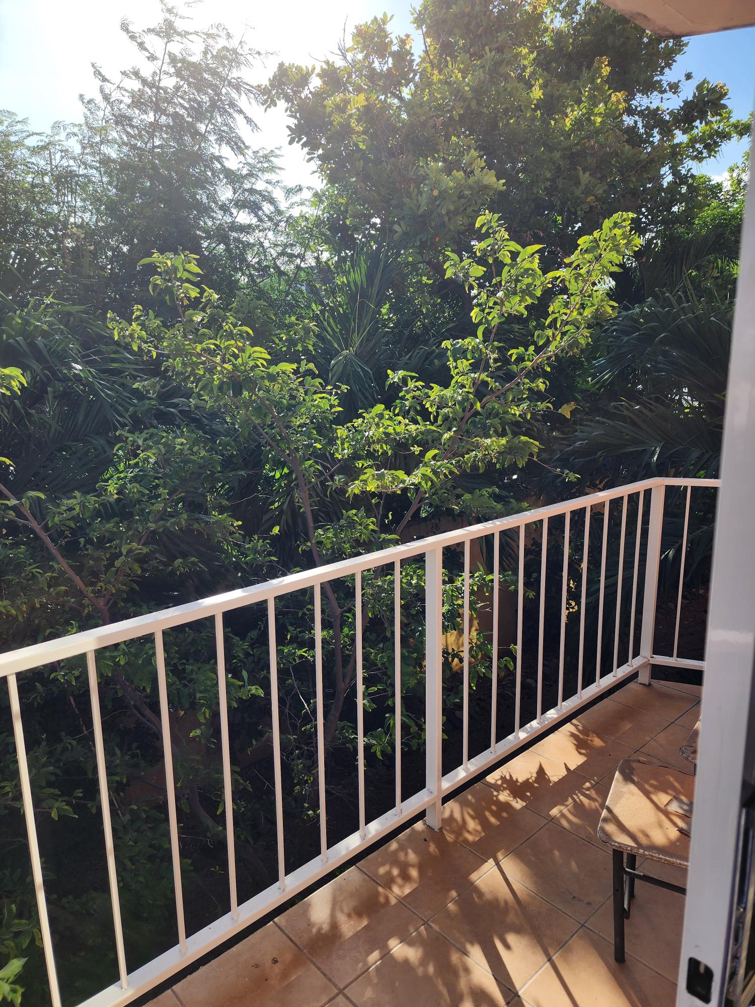 Tenth image of 5-15 Lilford Avenue in Kingston 6, St. Andrew, Jamaica - property is For Sale