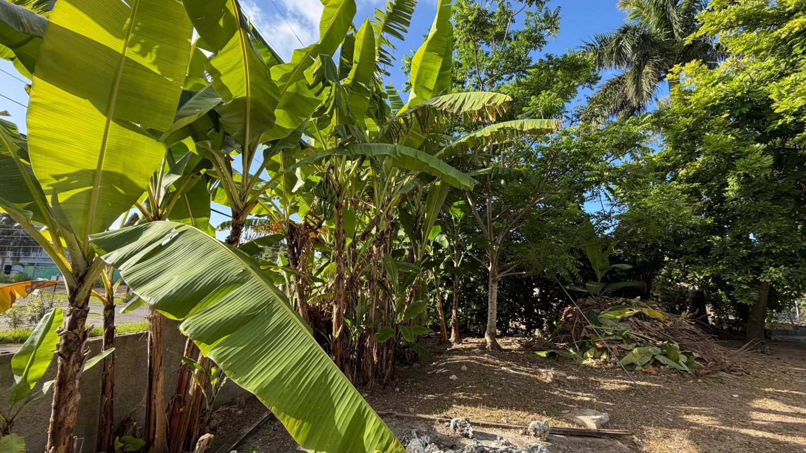 Thirteenth image of 38 Caribbean Park Tower Isle in Tower Isle, St. Mary, Jamaica - property is For Sale