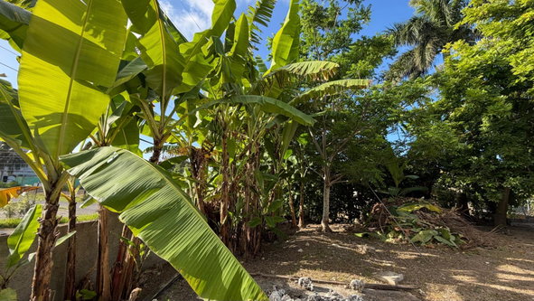 Thirteenth image of 38 Caribbean Park Tower Isle in Tower Isle, St. Mary, Jamaica - property is For Sale