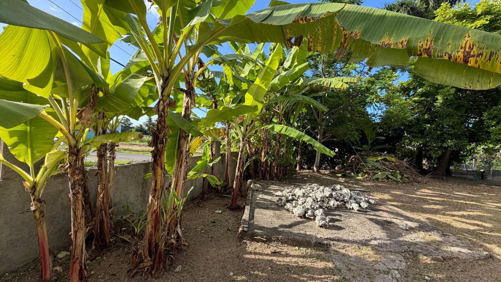 Eighth image of 38 Caribbean Park Tower Isle in Tower Isle, St. Mary, Jamaica - property is For Sale