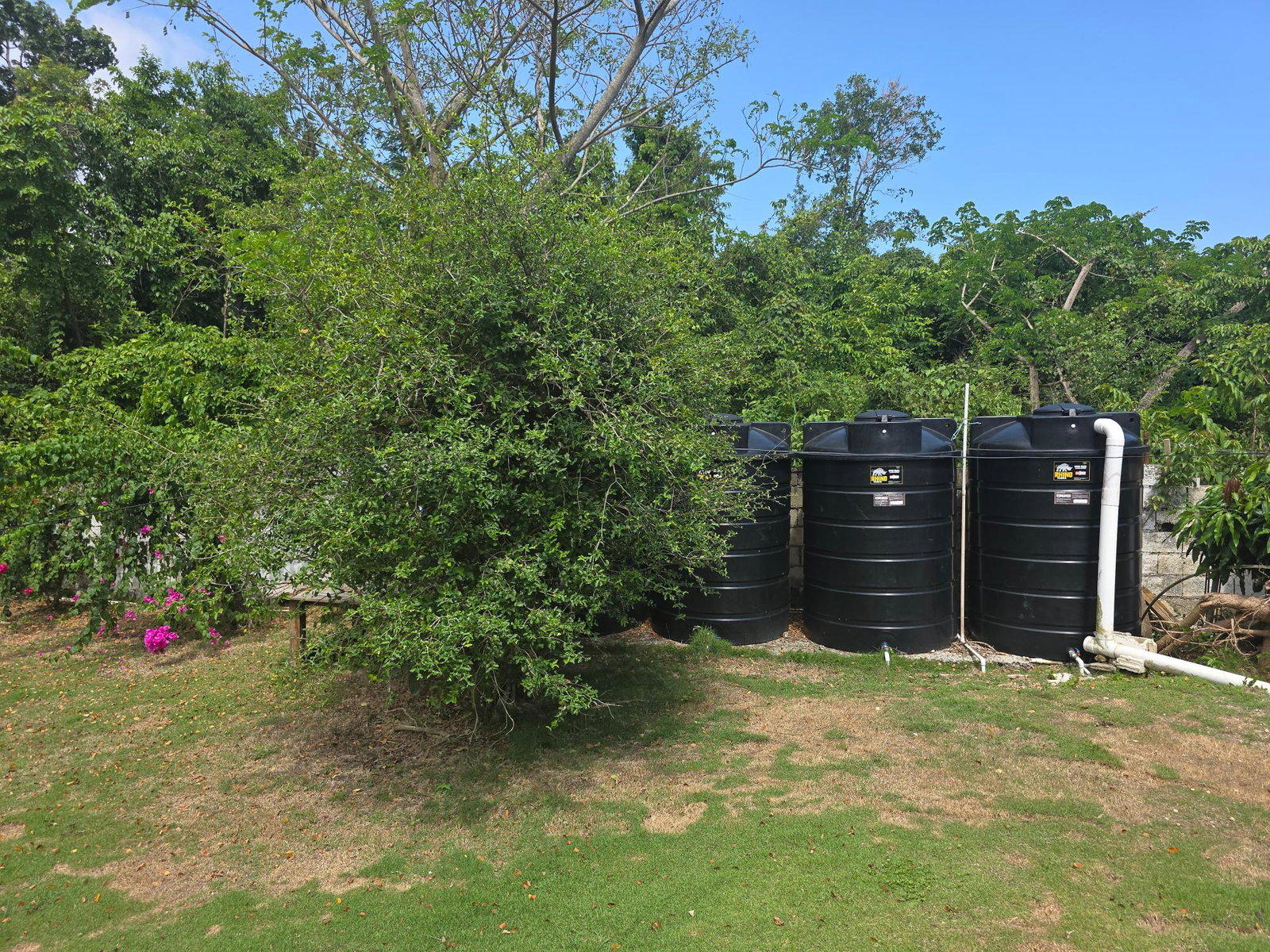 Fourteenth image of Picknelly Subdivision 32 in Negril, Westmoreland, Jamaica - property is For Sale