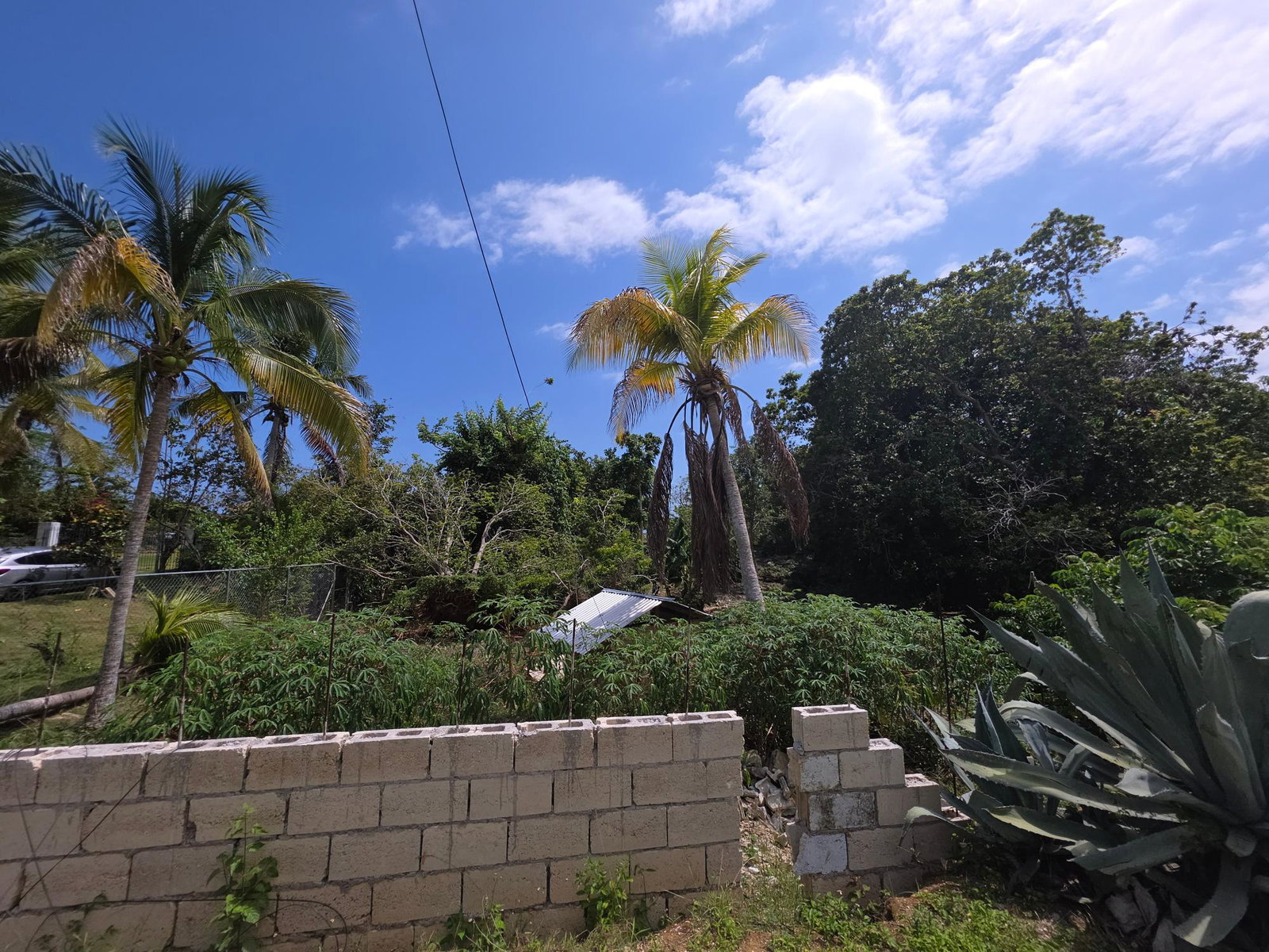 Seventh image of Picknelly Subdivision 32 in Negril, Westmoreland, Jamaica - property is For Sale