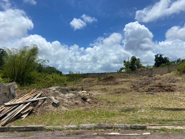 Twelfth image of Lot 405 Moorlands Manor in Mandeville, Manchester, Jamaica - property is For Sale
