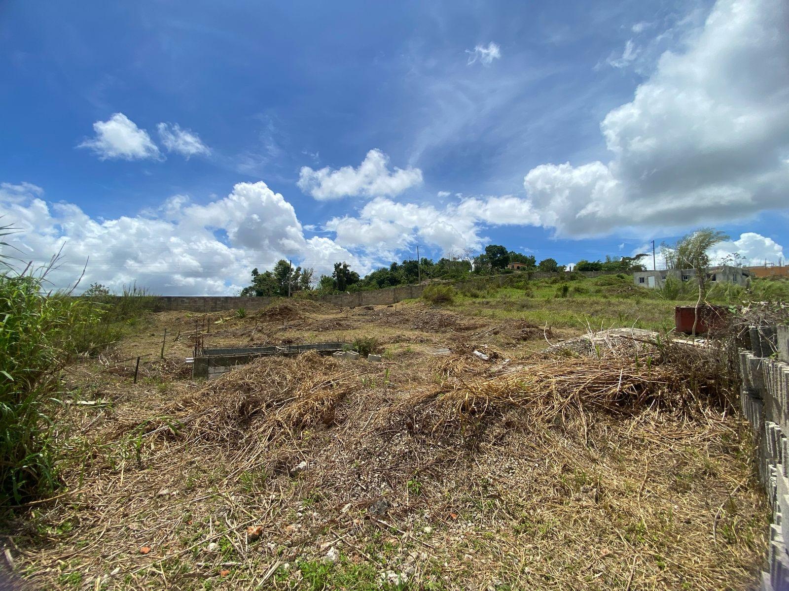 Thirteenth image of Lot 405 Moorlands Manor in Mandeville, Manchester, Jamaica - property is For Sale