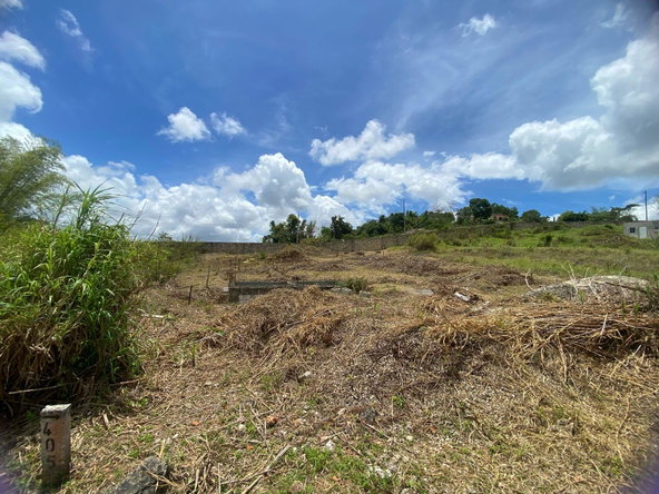 Fifteenth image of Lot 405 Moorlands Manor in Mandeville, Manchester, Jamaica - property is For Sale