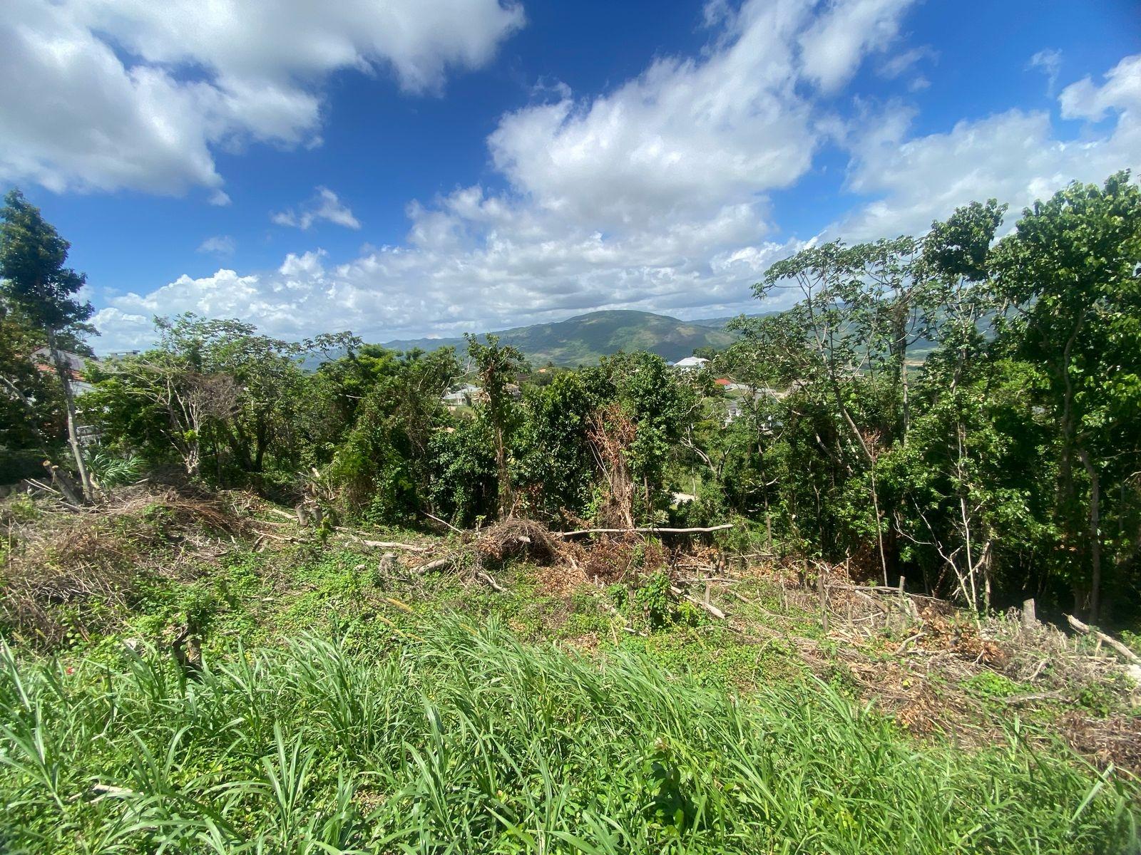 Seventeenth image of Lot 405 Moorlands Manor in Mandeville, Manchester, Jamaica - property is For Sale