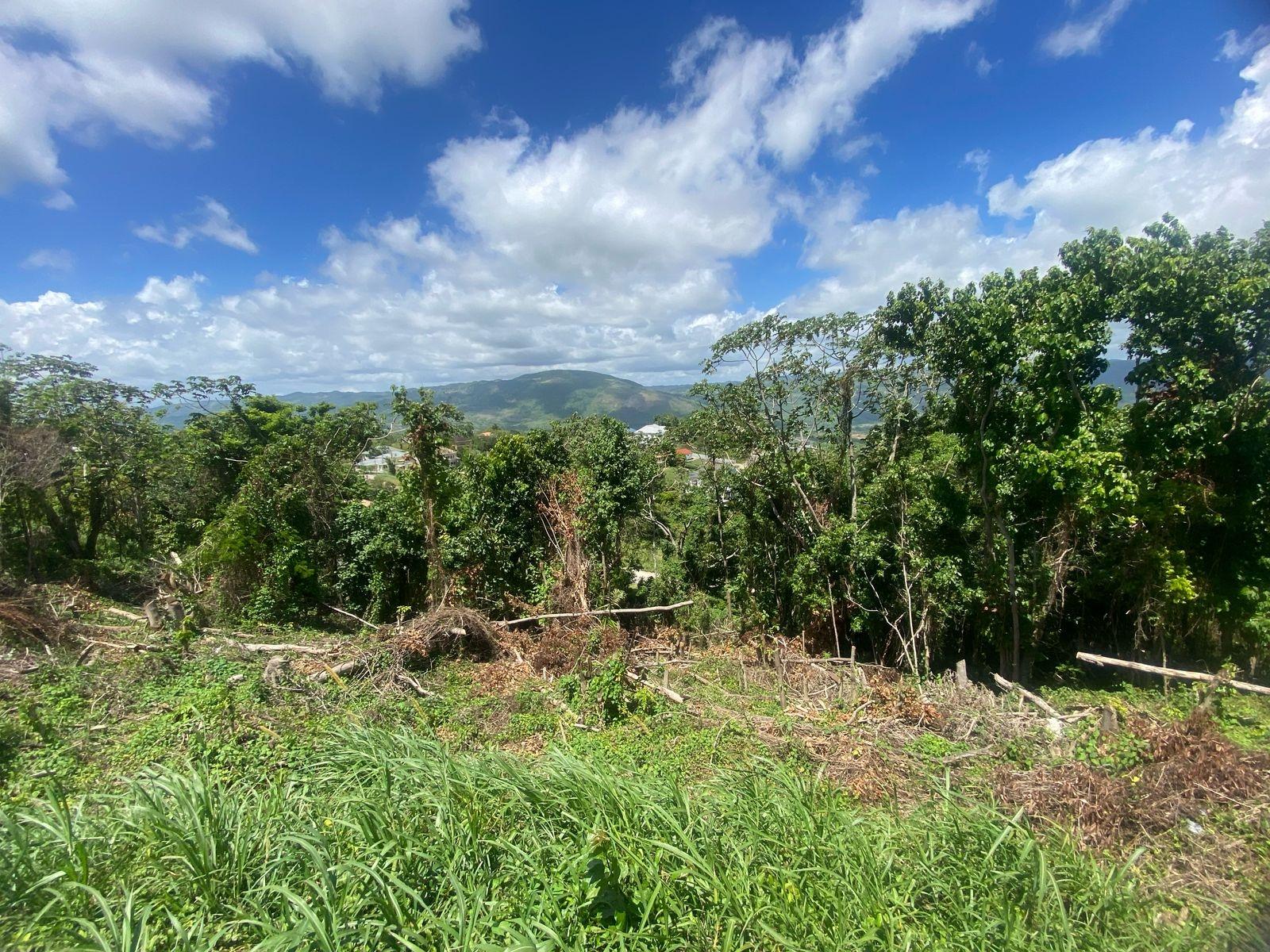 Nineteenth image of Lot 405 Moorlands Manor in Mandeville, Manchester, Jamaica - property is For Sale