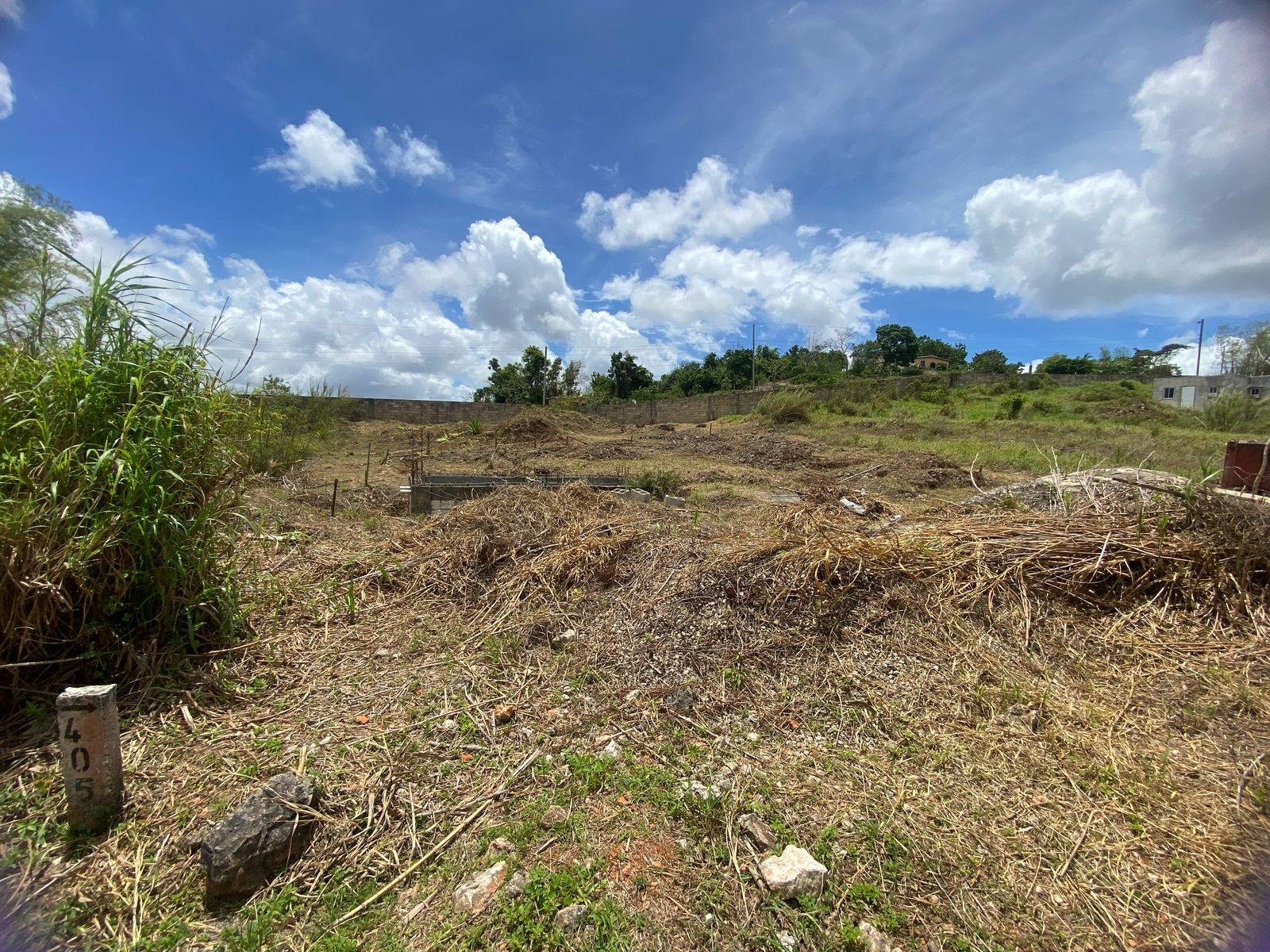 Twentieth image of Lot 405 Moorlands Manor in Mandeville, Manchester, Jamaica - property is For Sale