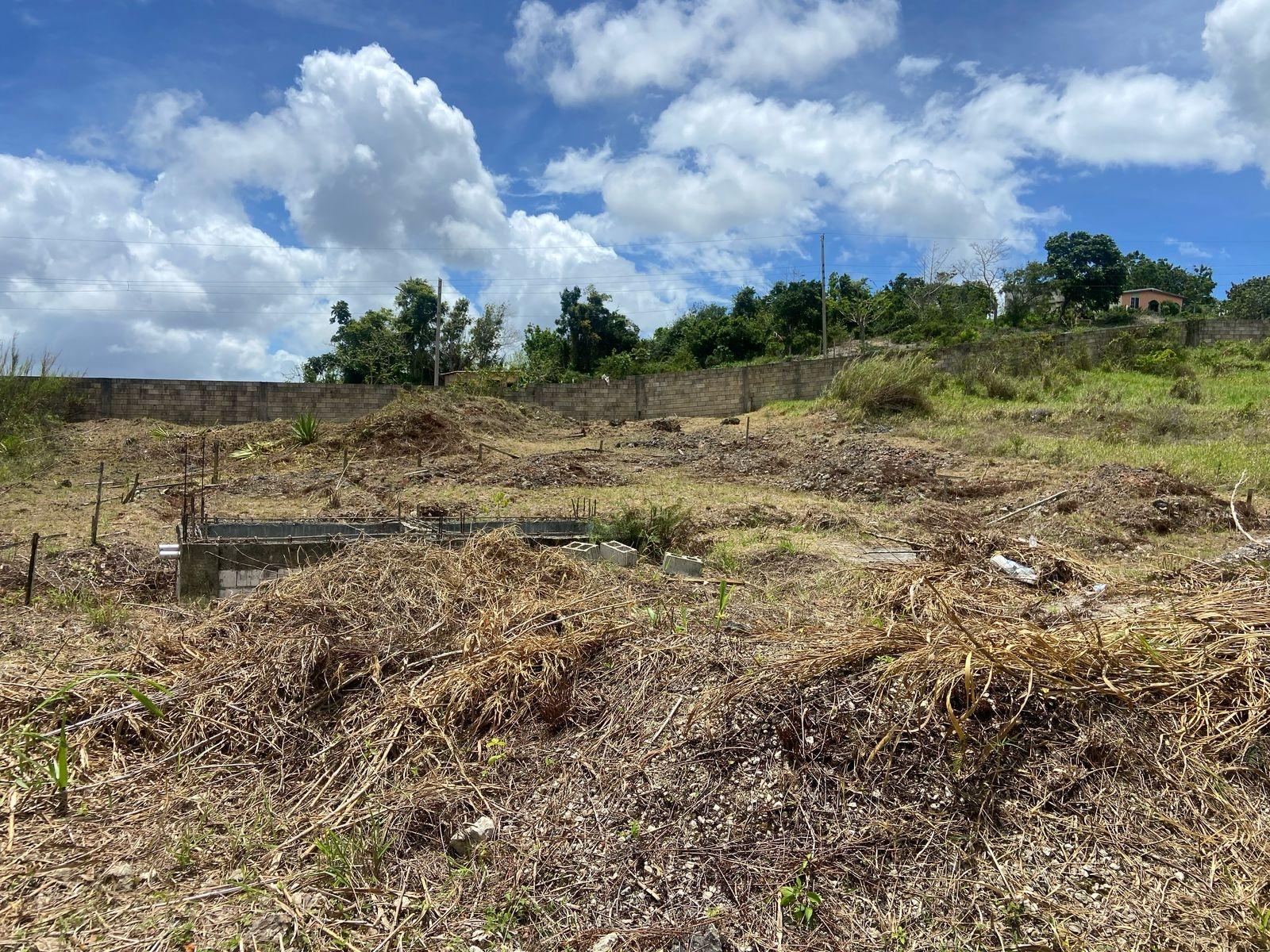 Twenty-First image of Lot 405 Moorlands Manor in Mandeville, Manchester, Jamaica - property is For Sale