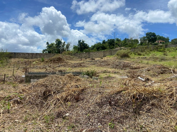 Twenty-First image of Lot 405 Moorlands Manor in Mandeville, Manchester, Jamaica - property is For Sale