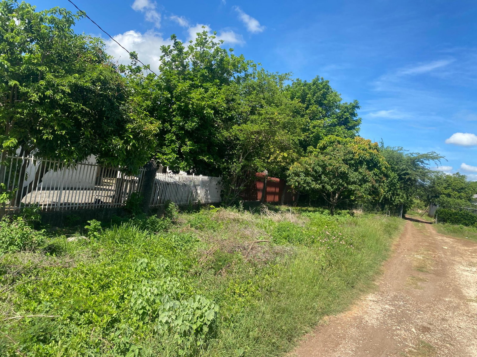 Sixth image of Lot-22 Bowers Est Colbeck Forest in Old Harbour, St. Catherine, Jamaica - property is For Sale