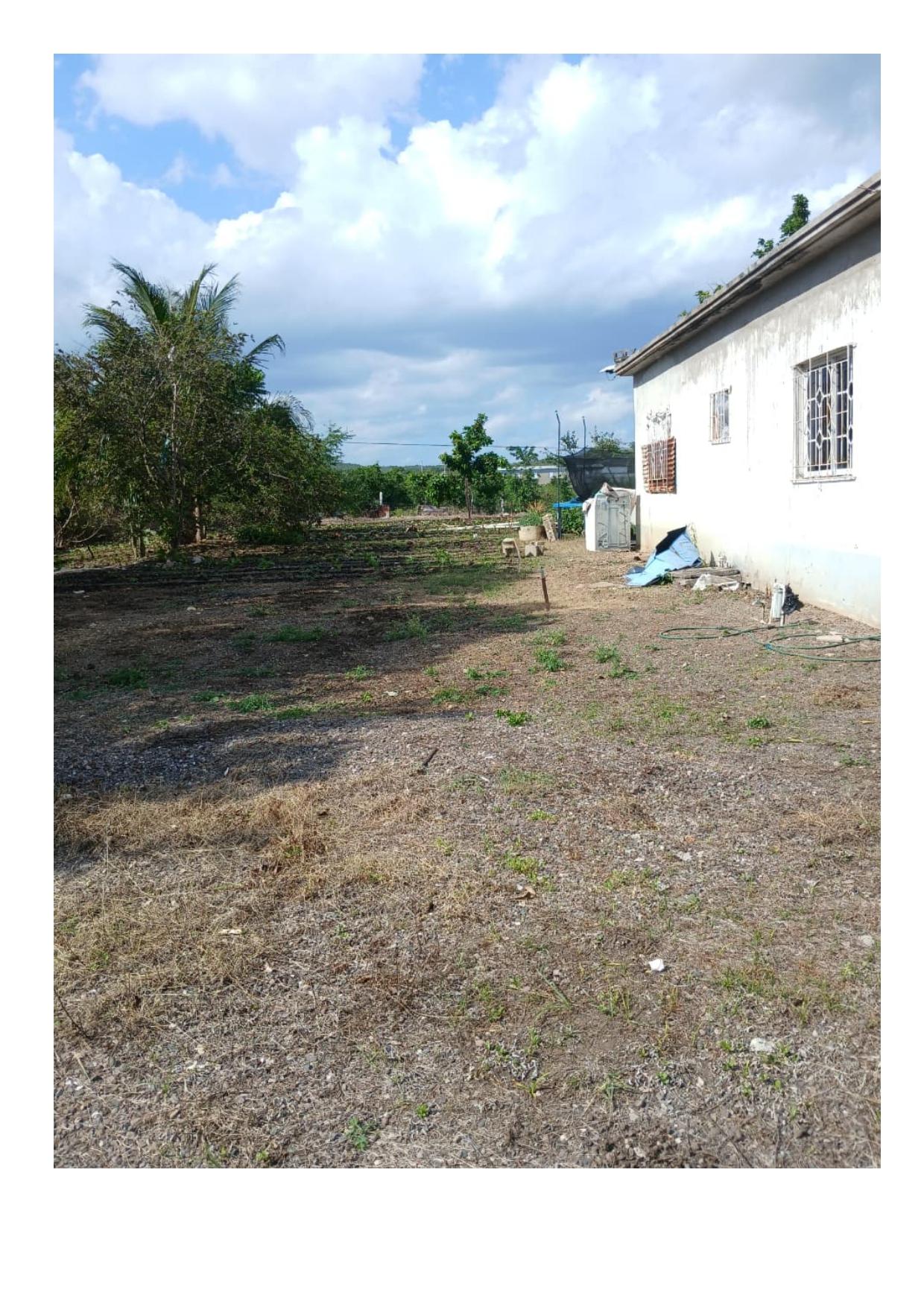 Seventh image of Green Park in Palmers Cross, Clarendon, Jamaica - property is For Sale
