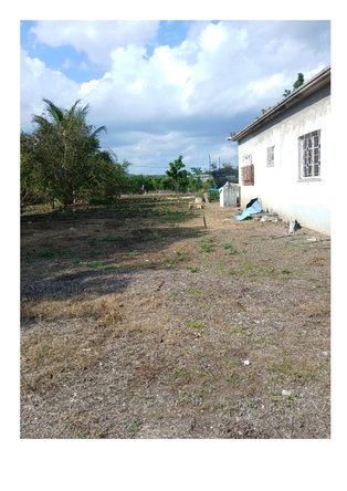 Seventh image of Green Park in Palmers Cross, Clarendon, Jamaica - property is For Sale