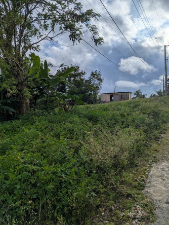 Twelfth image of 9 Brumalia in Brumalia, Manchester, Jamaica - property is For Sale