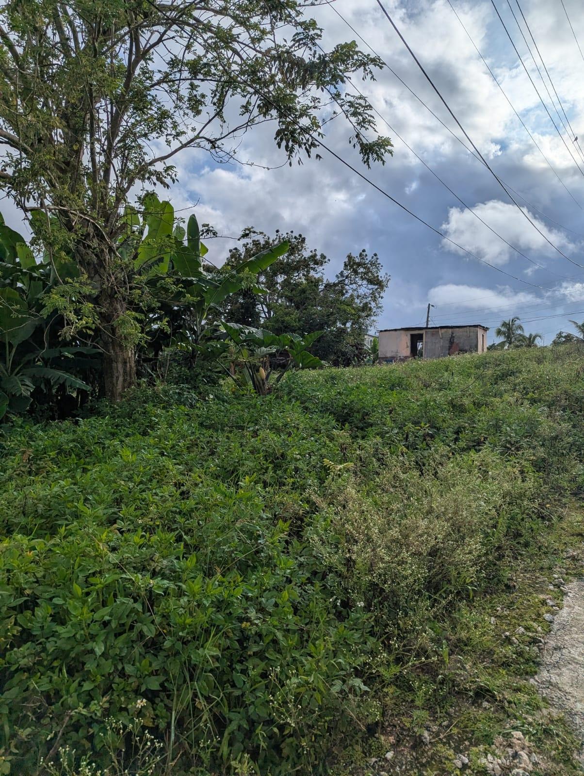 Thirteenth image of 9 Brumalia in Brumalia, Manchester, Jamaica - property is For Sale