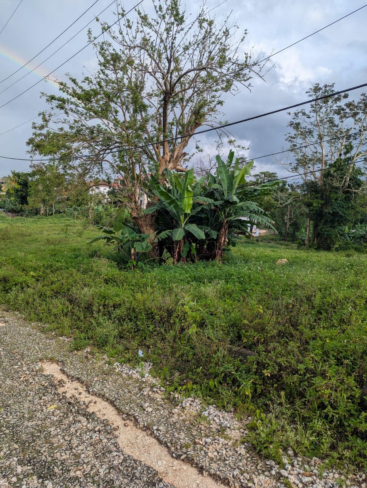Fourteenth image of 9 Brumalia in Brumalia, Manchester, Jamaica - property is For Sale