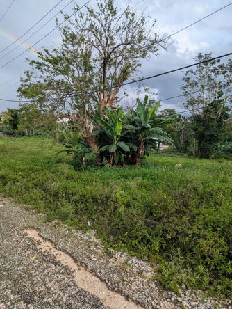 Fourteenth image of 9 Brumalia in Brumalia, Manchester, Jamaica - property is For Sale
