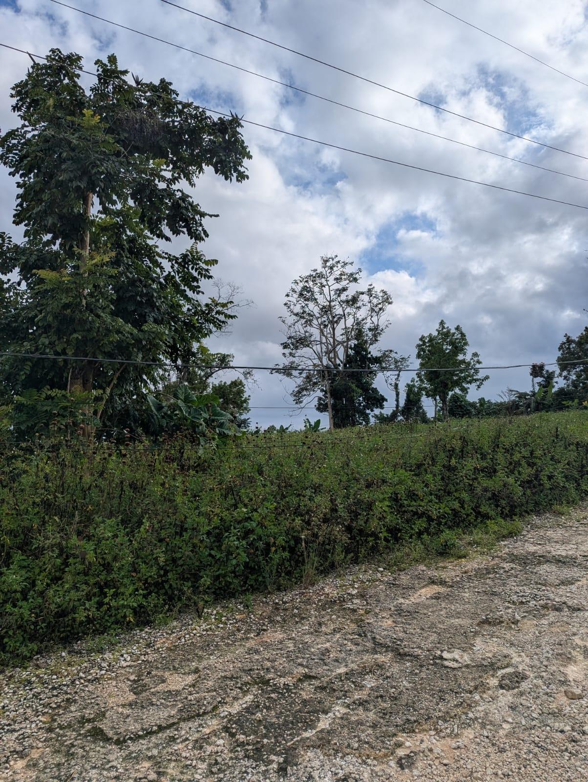 Twenty-Second image of 9 Brumalia in Brumalia, Manchester, Jamaica - property is For Sale