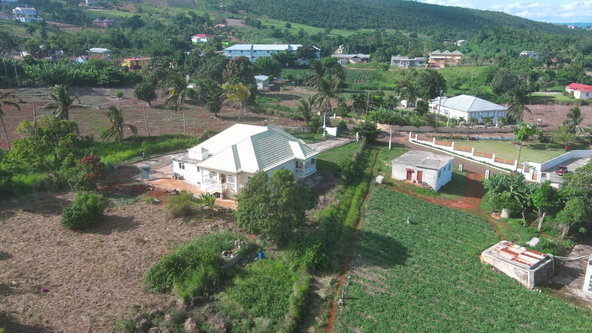 Eighth image of Top Hill St. Elizabeth in Top Hill, St. Elizabeth, Jamaica - property is For Sale