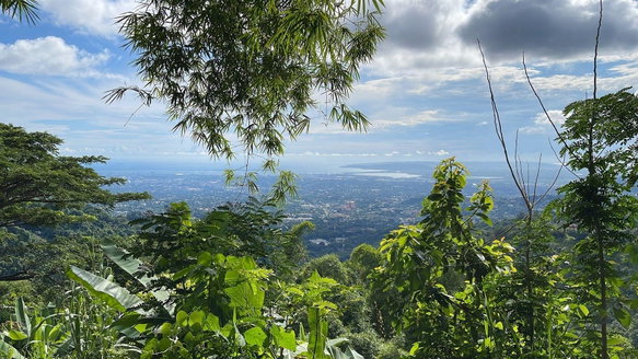First image of Hermitage Dam Road in Kingston 8, St. Andrew, Jamaica - property is For Sale