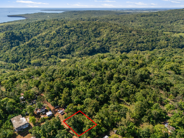 Fifth image of Belle Castle in Belle Castle, Portland, Jamaica - property is For Sale