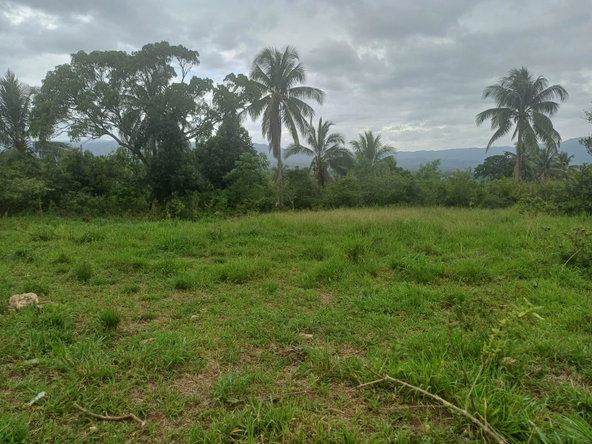 Tenth image of York Street, Wallens, Lin in Linstead, St. Catherine, Jamaica - property is For Sale