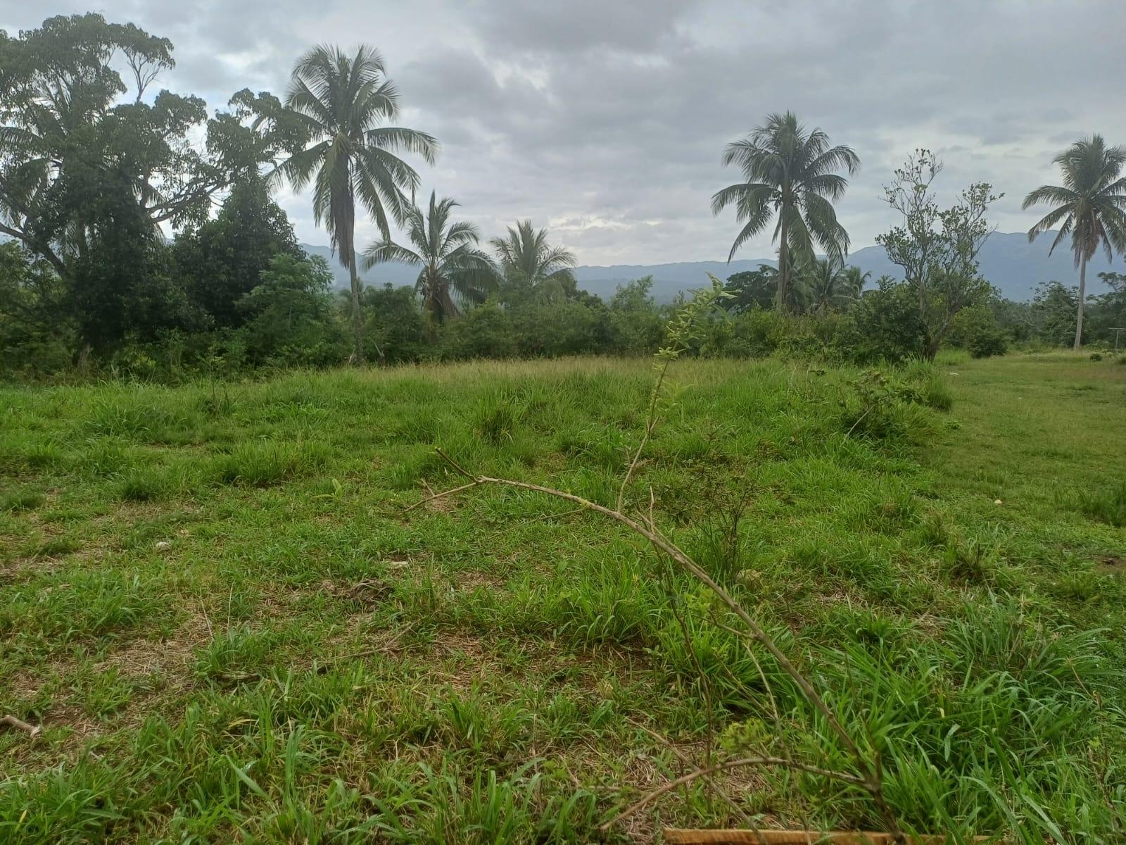 Eleventh image of York Street, Wallens, Lin in Linstead, St. Catherine, Jamaica - property is For Sale