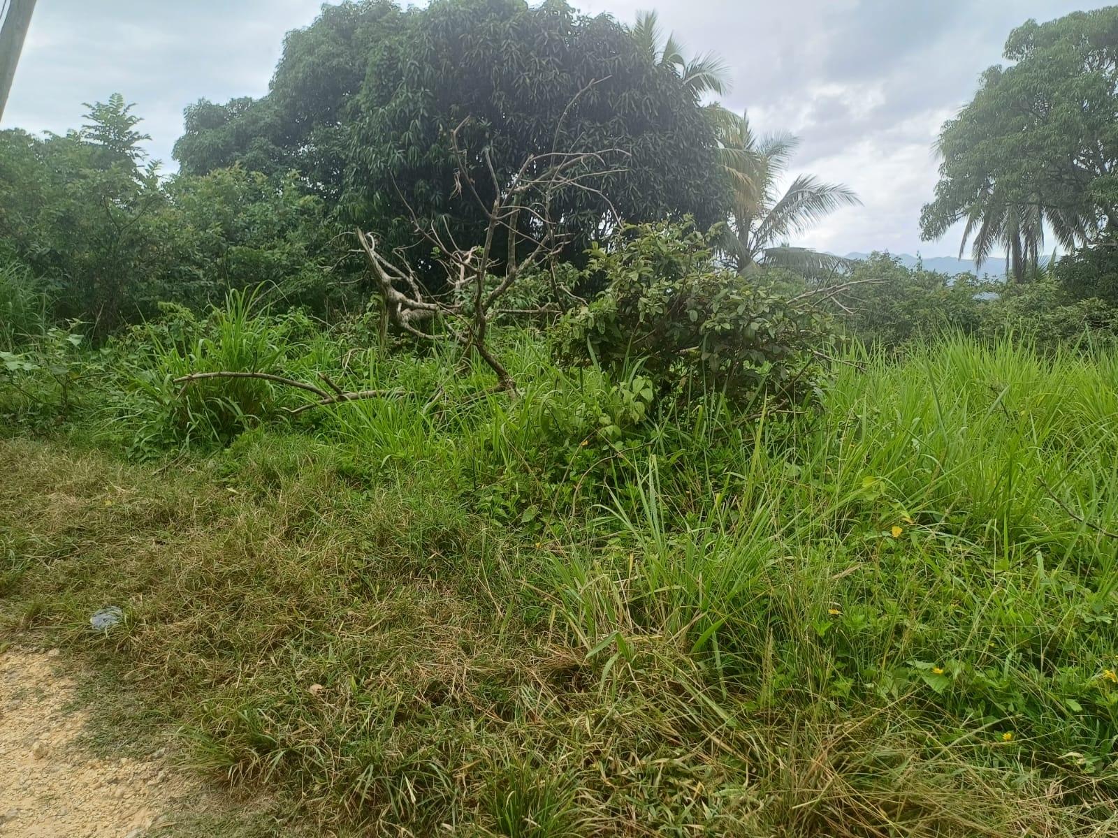 Thirteenth image of York Street, Wallens, Lin in Linstead, St. Catherine, Jamaica - property is For Sale