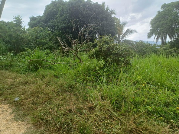 Thirteenth image of York Street, Wallens, Lin in Linstead, St. Catherine, Jamaica - property is For Sale