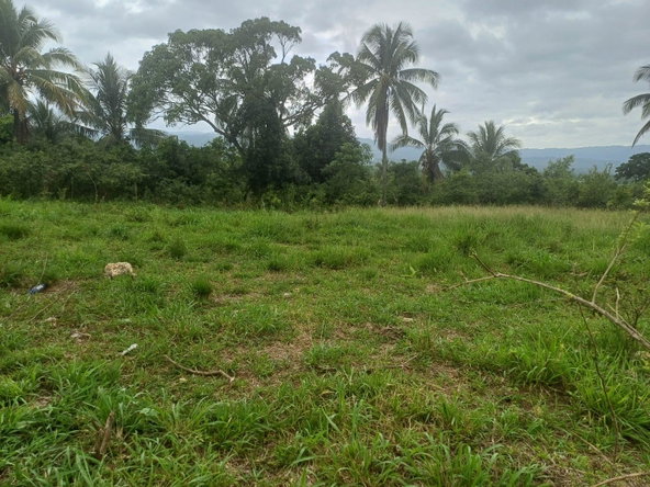 Fourteenth image of York Street, Wallens, Lin in Linstead, St. Catherine, Jamaica - property is For Sale