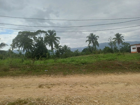 Sixteenth image of York Street, Wallens, Lin in Linstead, St. Catherine, Jamaica - property is For Sale
