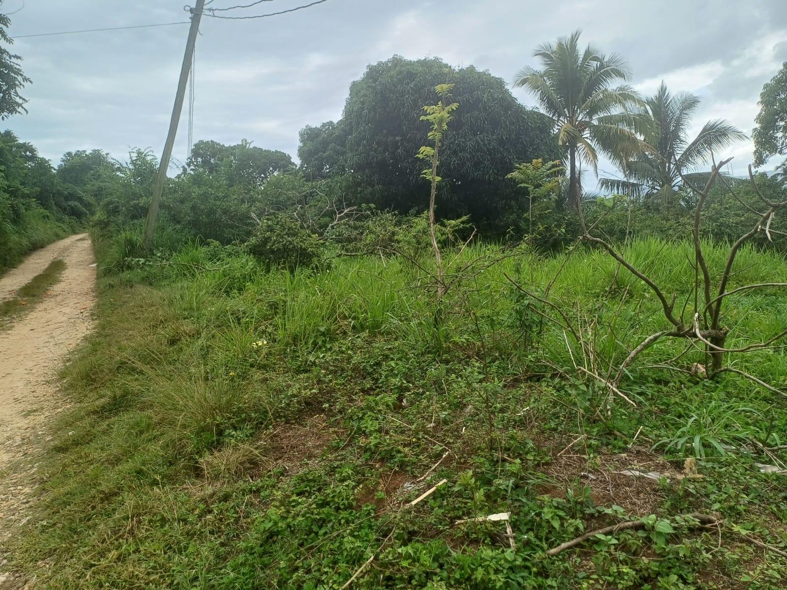 Third image of York Street, Wallens, Lin in Linstead, St. Catherine, Jamaica - property is For Sale
