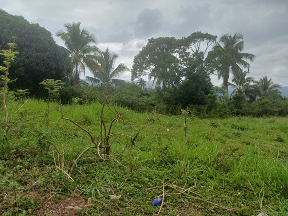 Fourth image of York Street, Wallens, Lin in Linstead, St. Catherine, Jamaica - property is For Sale