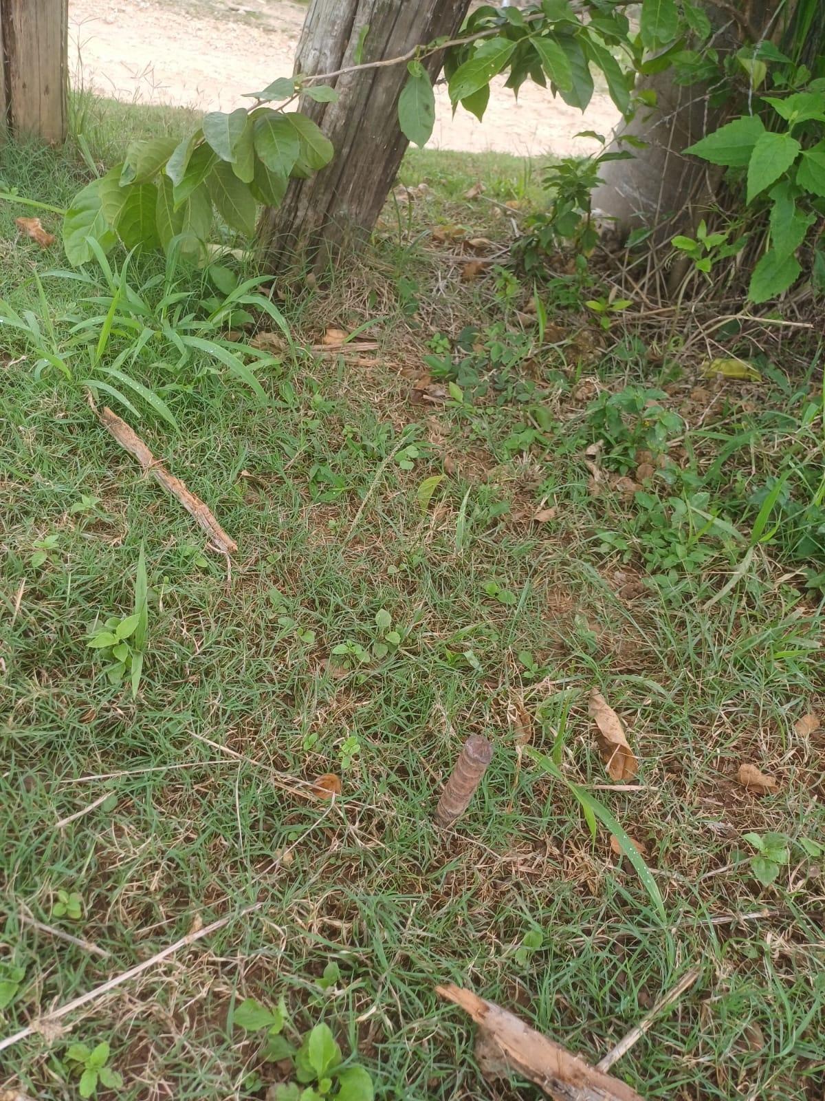 Fifth image of York Street, Wallens, Lin in Linstead, St. Catherine, Jamaica - property is For Sale