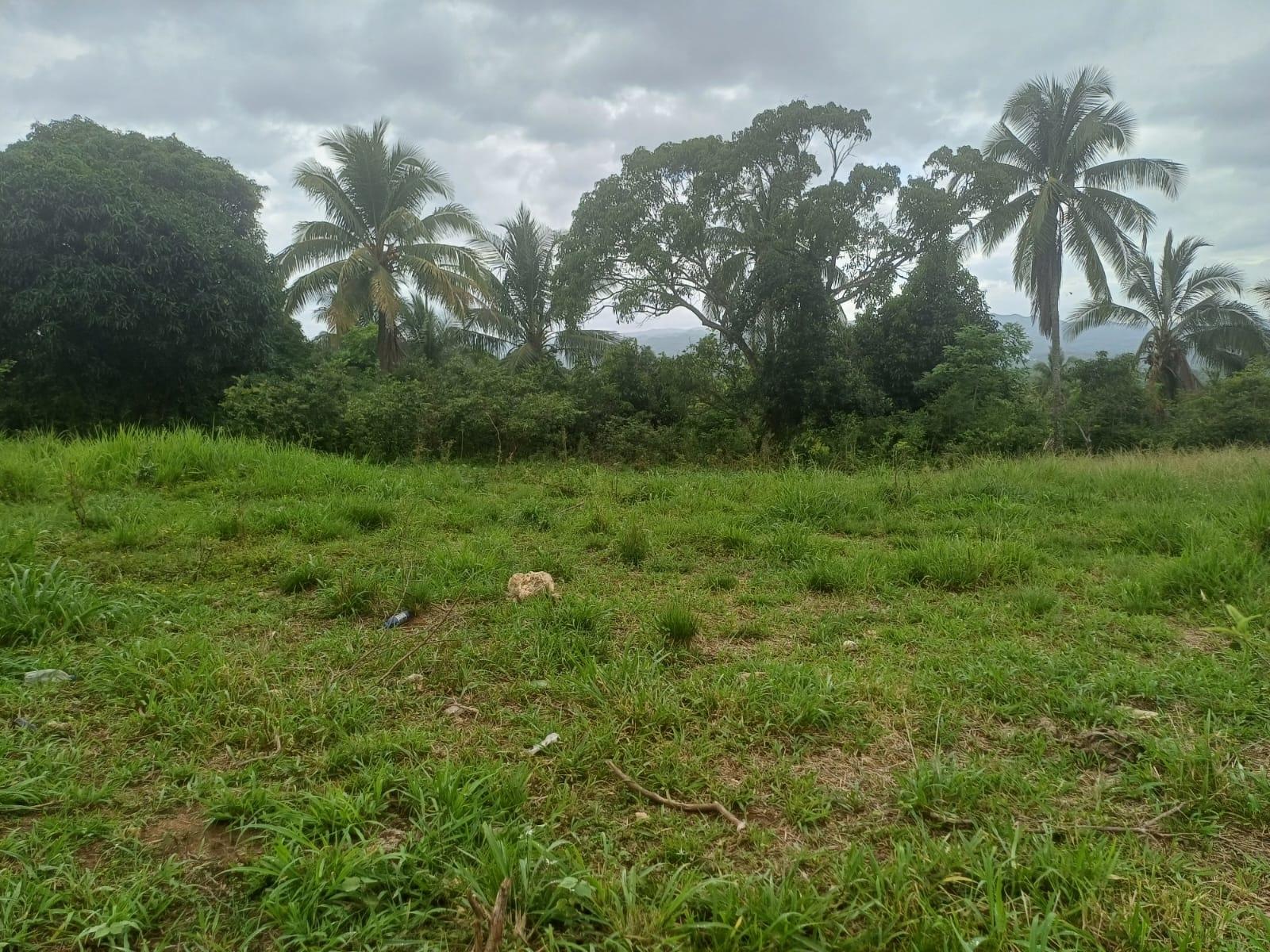 Sixth image of York Street, Wallens, Lin in Linstead, St. Catherine, Jamaica - property is For Sale