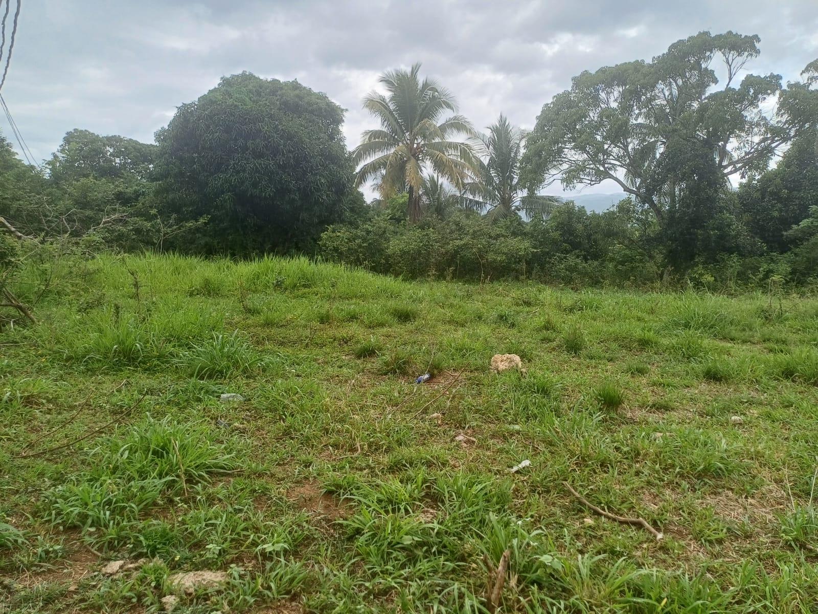 Seventh image of York Street, Wallens, Lin in Linstead, St. Catherine, Jamaica - property is For Sale