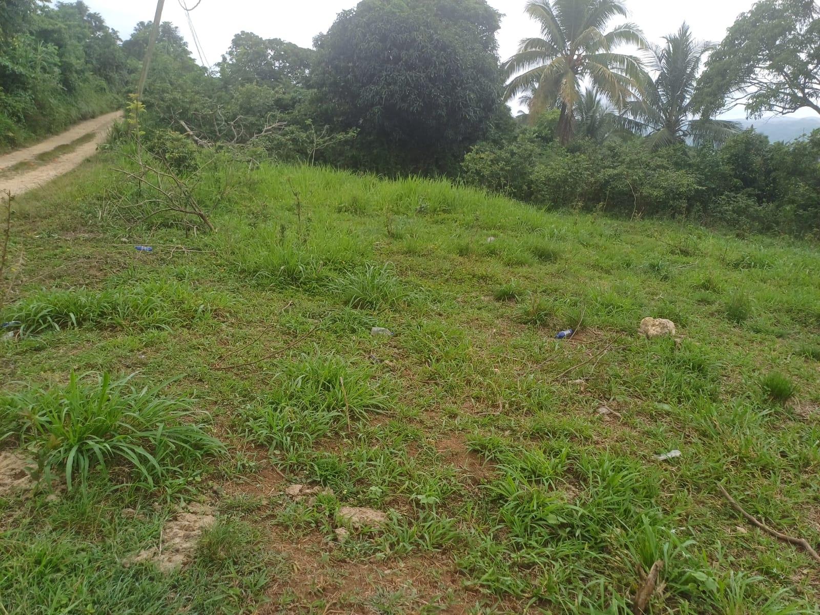 Eighth image of York Street, Wallens, Lin in Linstead, St. Catherine, Jamaica - property is For Sale