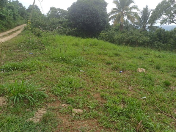 Eighth image of York Street, Wallens, Lin in Linstead, St. Catherine, Jamaica - property is For Sale